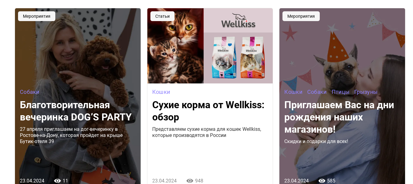 Фрагмент интерфейса 1