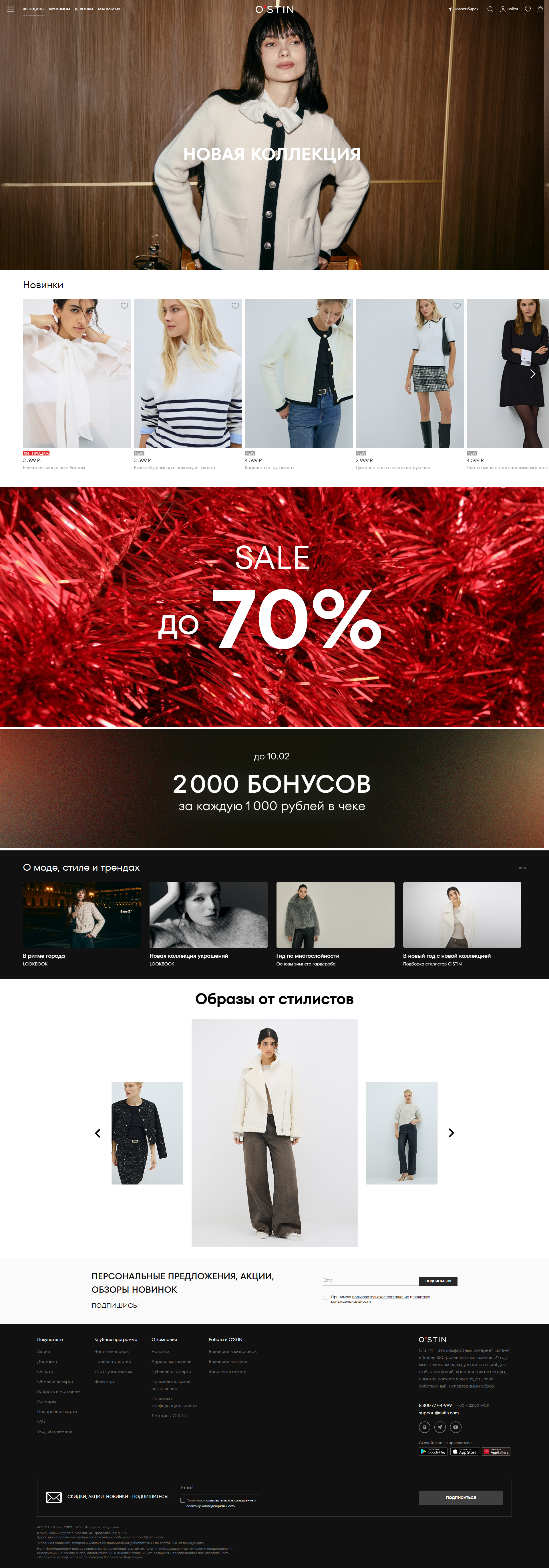 ostin: скриншот от 1 февраля 2025 г.